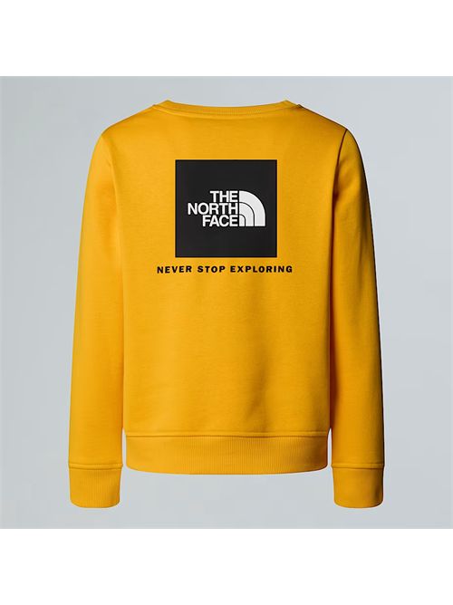 Felpa NSE Box da ragazzi THE NORTH FACE | NF0A89H7/56P1